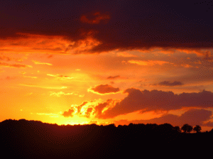 sunset-with-fave-tree