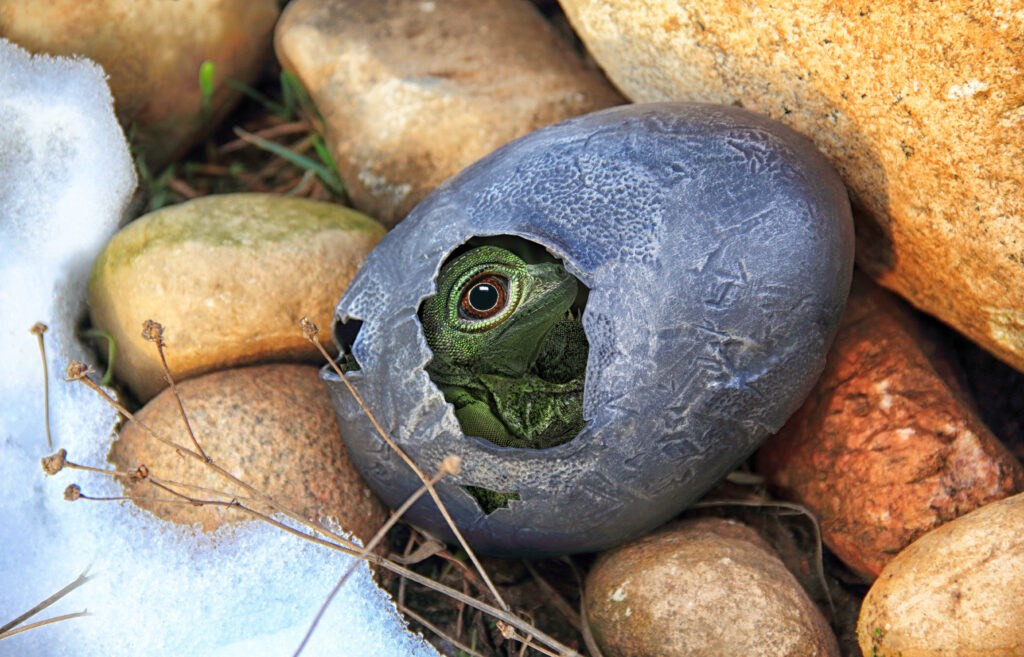 Tapping into Dinosaur Energy in 2026 ID 142085842 | Dinosaurs © Marsia16 | Dreamstime.com